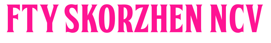 FTY SKORZHEN NCV预览图片