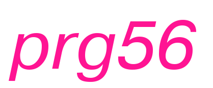 prg56预览图片