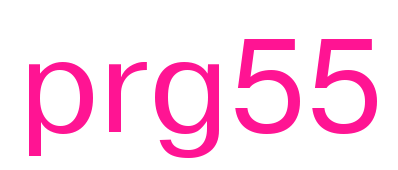 prg55预览图片