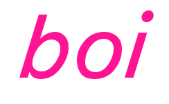 boi预览图片