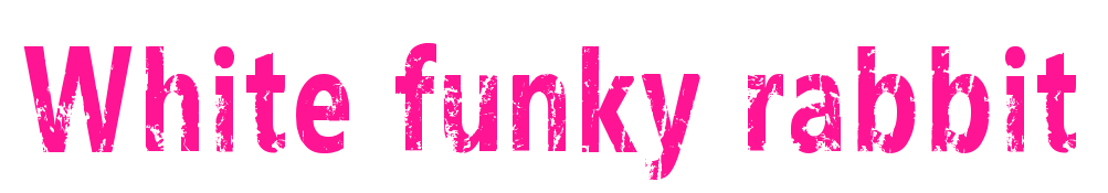 White funky rabbit预览图片