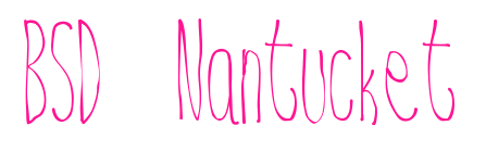 BSD Nantucket预览图片