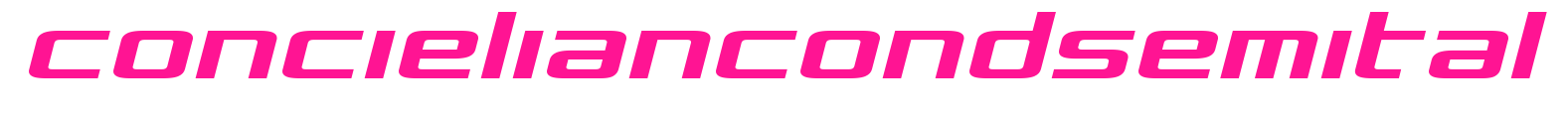 concieliancondsemital预览图片