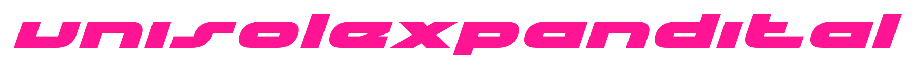 unisolexpandital预览图片