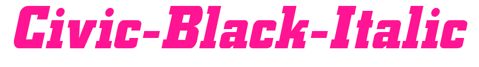 Civic-Black-Italic预览图片