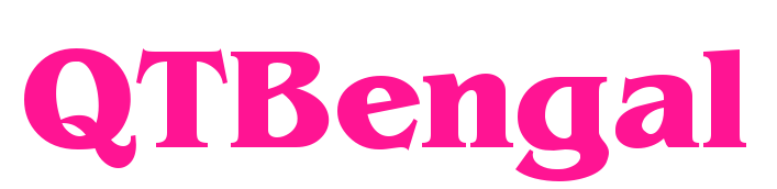 QTBengal预览图片