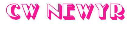 cw newyr预览图片