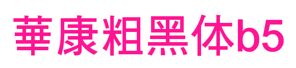 華康粗黑体b5