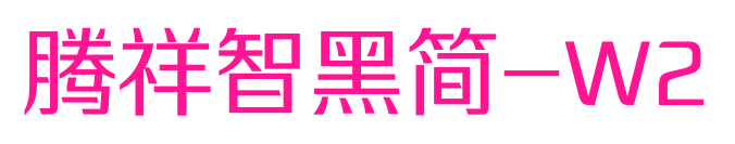 腾祥智黑简-W2