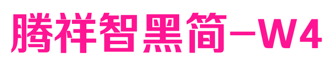 腾祥智黑简-W4