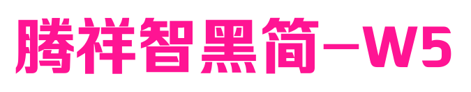 腾祥智黑简-W5