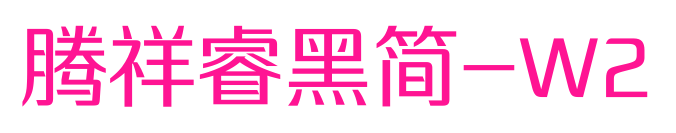 腾祥睿黑简-W2