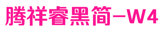 腾祥睿黑简-W4