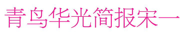 青鸟华光简报宋一预览图片