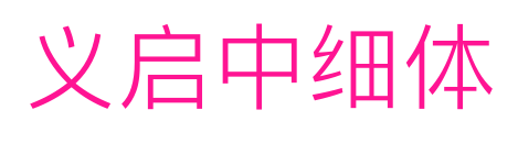 义启中细体