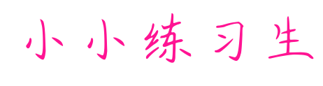 小小练习生
