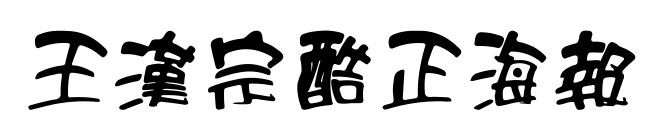 王漢宗酷正海報