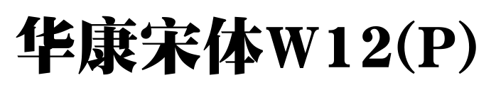 华康宋体W12(P)