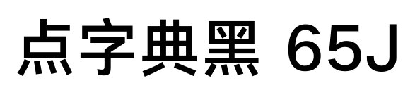 点字典黑 65J