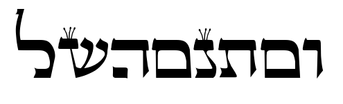 lshontov预览图片