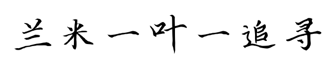 兰米一叶一追寻
