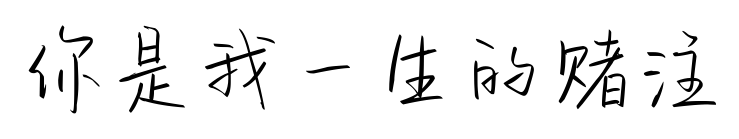 你是我一生的赌注预览图片