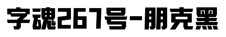 字魂267号-朋克黑
