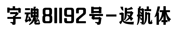字魂81192号-返航体
