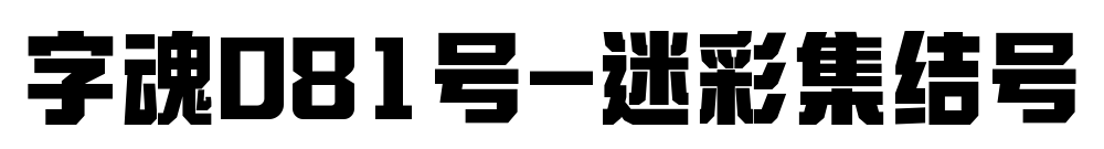 字魂081号-迷彩集结号