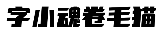 字小魂卷毛猫