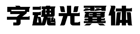 字魂光翼体
