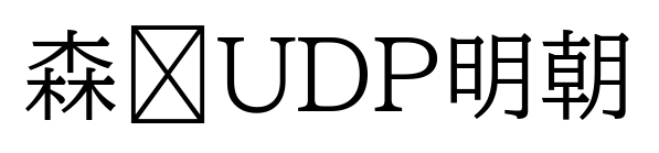 森泽UDP明朝