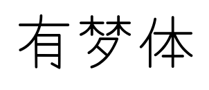 有梦体